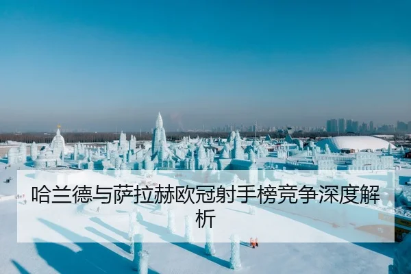 ha-lan-de-yu-sa-la-he-ou-guan-she-shou-bang-jing-zheng-shen-du-jie-xi-2-267.jpg